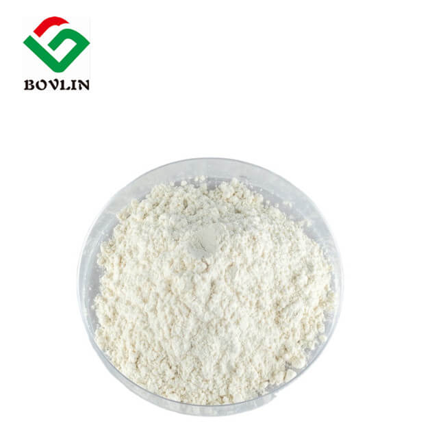 Polvo de dihidromiricetina