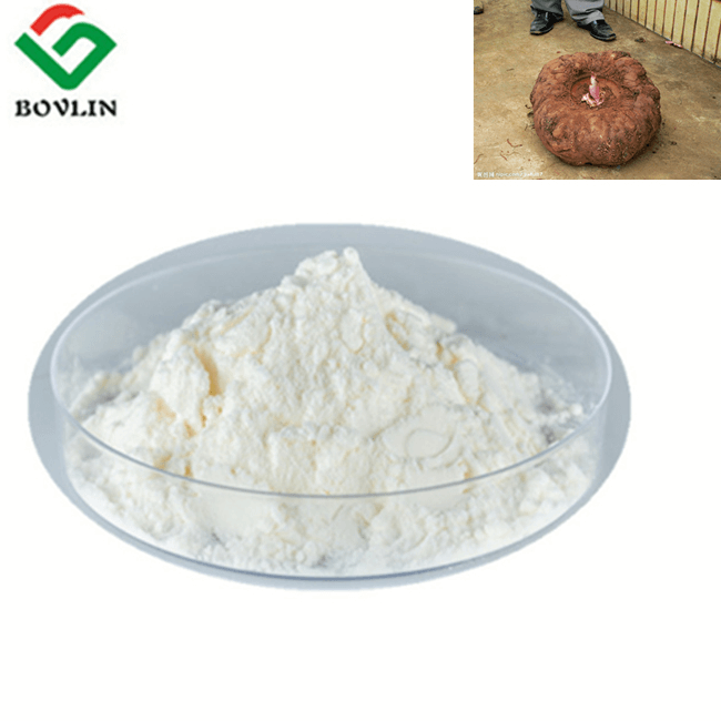 Polvo de konjac