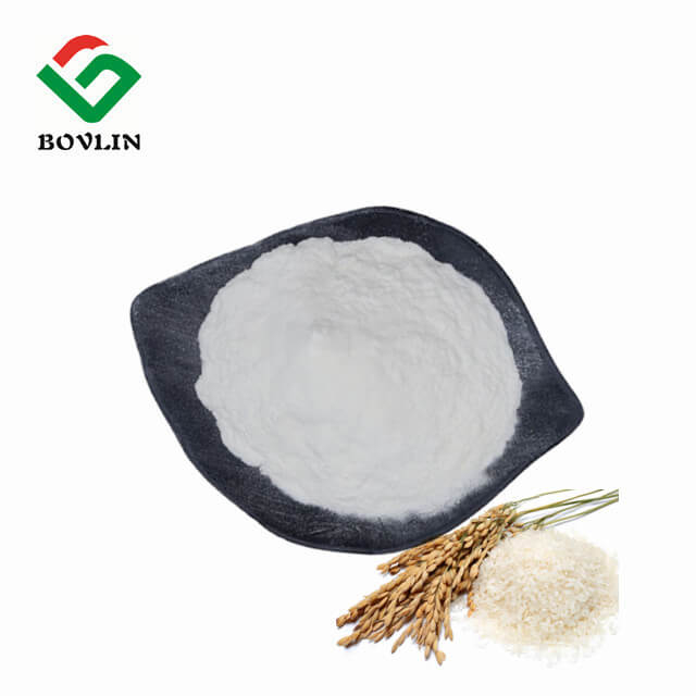 Fabricante de proteína de arroz