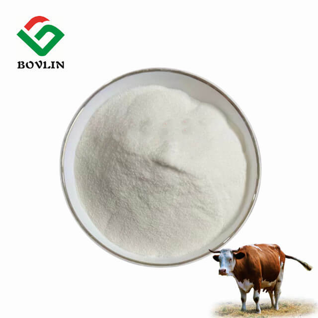 Polvo de colágeno bovino puro